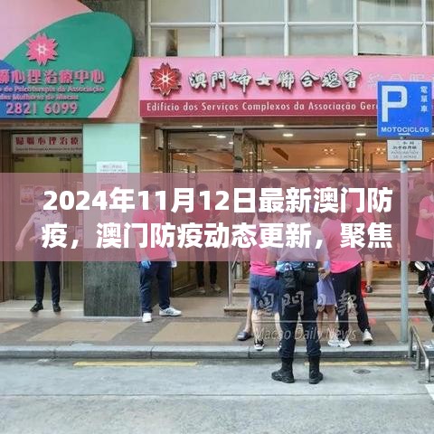 澳门防疫动态更新报告，最新进展与关键要点解析（2024年11月版）