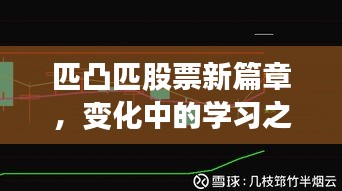 匹凸匹股票新篇章，变化中的学习之旅与自信成就融合之路