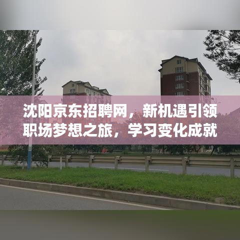 沈阳京东招聘网，新机遇引领职场梦想之旅，学习变化成就未来