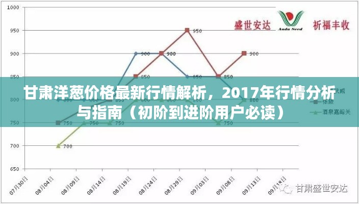 甘肃洋葱价格最新行情解析，2017年行情分析与指南（初阶到进阶用户必读）