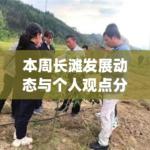 本周长滩发展动态与个人观点分析荟萃，最新消息聚焦发展之路