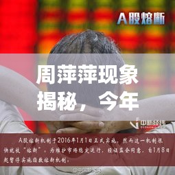 周萍萍现象揭秘，今年最新门事件的深度探讨