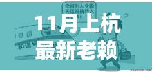 11月上杭最新老赖榜，失信现象深度解读与诚信社会新风尚倡导