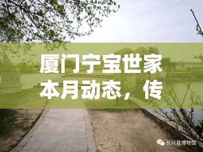 厦门宁宝世家本月动态，传承与创新的时代印记