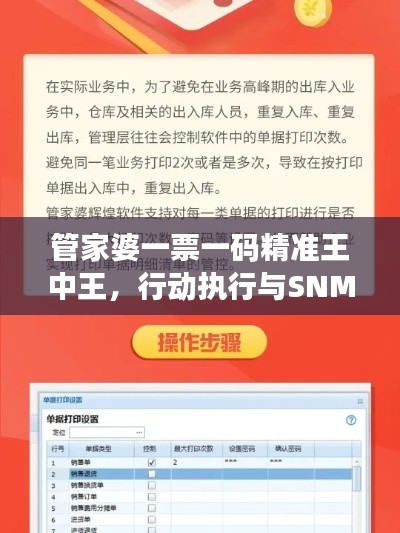 管家婆一票一码精准王中王，行动执行与SNM62.115护眼版攻略