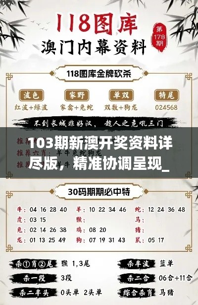 103期新澳开奖资料详尽版，精准协调呈现_ZGQ62.584界面