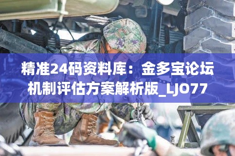 精准24码资料库：金多宝论坛机制评估方案解析版_LJO77.155