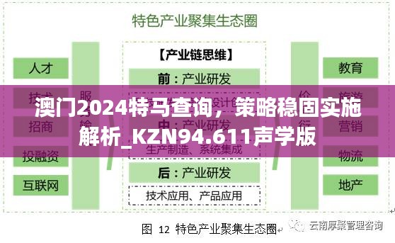 澳门2024特马查询，策略稳固实施解析_KZN94.611声学版