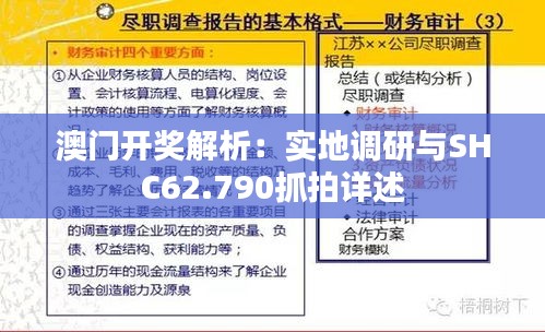 澳门开奖解析：实地调研与SHC62.790抓拍详述