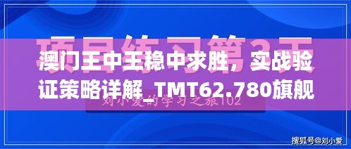 澳门王中王稳中求胜，实战验证策略详解_TMT62.780旗舰版