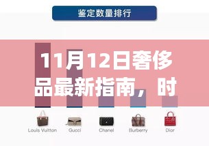 11月12日奢侈品最新指南，时尚前沿探索与技能进阶之旅