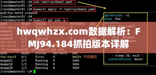 hwqwhzx.com数据解析：FMJ94.184抓拍版本详解