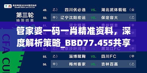 管家婆一码一肖精准资料，深度解析策略_BBD77.455共享版