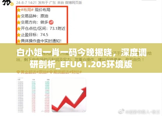 白小姐一肖一码今晚揭晓，深度调研剖析_EFU61.205环境版