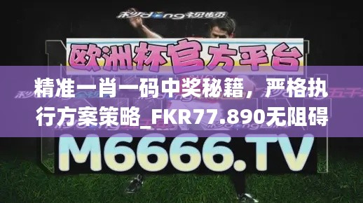 精准一肖一码中奖秘籍，严格执行方案策略_FKR77.890无阻碍版