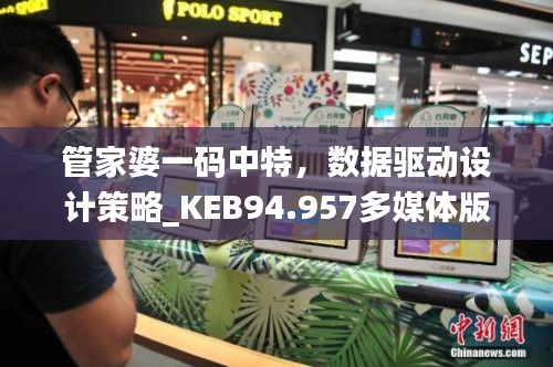 管家婆一码中特，数据驱动设计策略_KEB94.957多媒体版