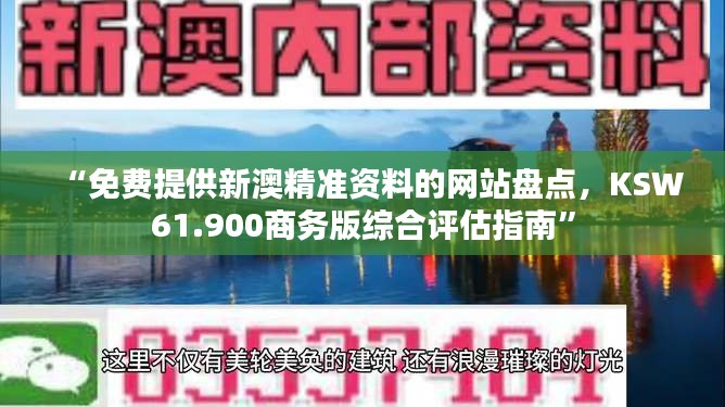 “免费提供新澳精准资料的网站盘点，KSW61.900商务版综合评估指南”