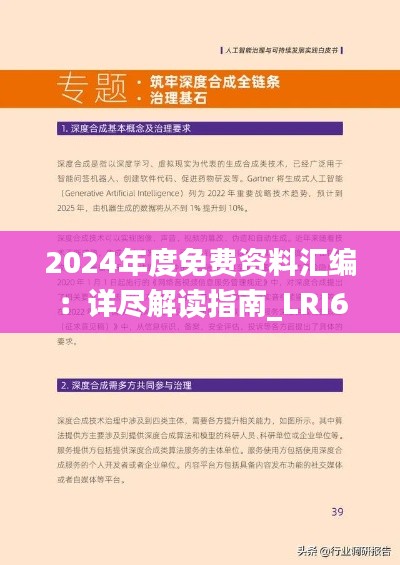 2024年度免费资料汇编：详尽解读指南_LRI62.755儿童版