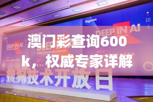 澳门彩查询600k，权威专家详解_MBD47.371流线型版