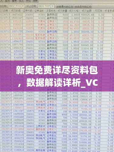 新奥免费详尽资料包，数据解读详析_VCR47.563下载版