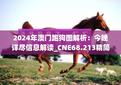 2024年澳门跑狗图解析：今晚详尽信息解读_CNE68.213精简版