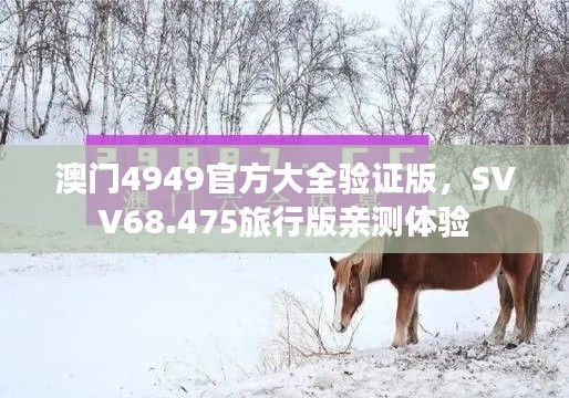 澳门4949官方大全验证版，SVV68.475旅行版亲测体验