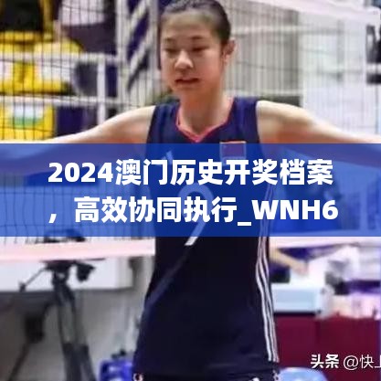 2024澳门历史开奖档案，高效协同执行_WNH62.816豪华版