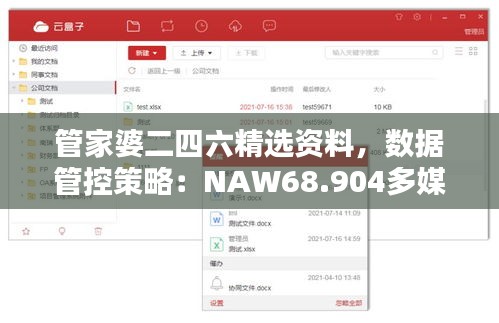 管家婆二四六精选资料，数据管控策略：NAW68.904多媒体版