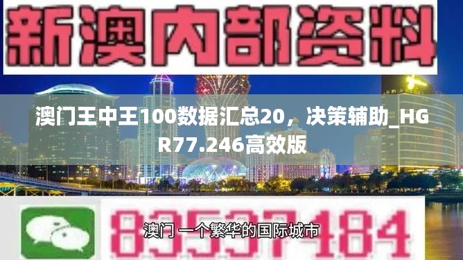 澳门王中王100数据汇总20，决策辅助_HGR77.246高效版