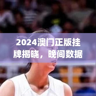 2024澳门正版挂牌揭晓，晚间数据分析解读_RMD62.197风尚版