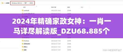 2024年精确家政女神：一肖一马详尽解读版_DZU68.885个人专用