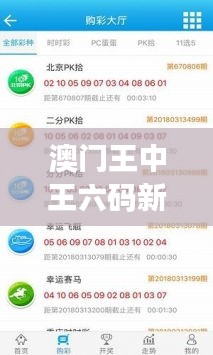 澳门王中王六码新体验，TLD68.818快速解答方案实践版