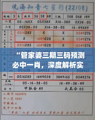 “管家婆三期三码预测必中一肖，深度解析实施策略_YSI77.725护眼版”