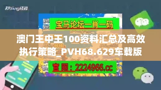 澳门王中王100资料汇总及高效执行策略_PVH68.629车载版