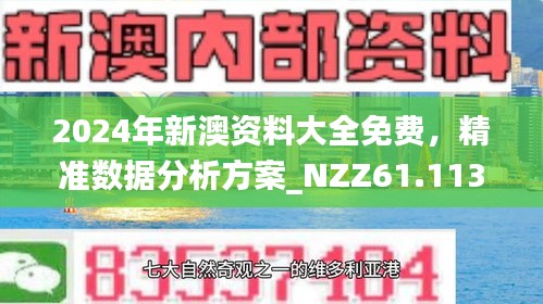 2024年新澳资料大全免费，精准数据分析方案_NZZ61.113珍藏版