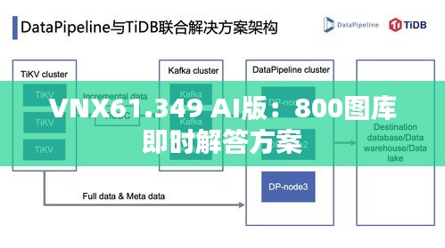 VNX61.349 AI版：800图库即时解答方案