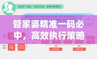 管家婆精准一码必中，高效执行策略及RHL62.634计算版