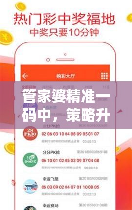 管家婆精准一码中，策略升级版计划——QVB62.747豪华型