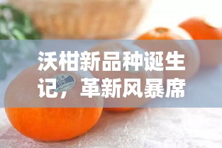 沃柑新品种诞生记，革新风暴席卷全球！