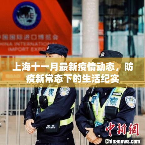 上海十一月最新疫情动态，防疫新常态下的生活纪实