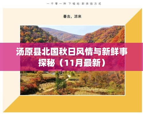 汤原县北国秋日风情与新鲜事探秘（11月最新）