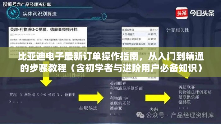 比亚迪电子最新订单操作指南，从入门到精通的步骤教程（含初学者与进阶用户必备知识）