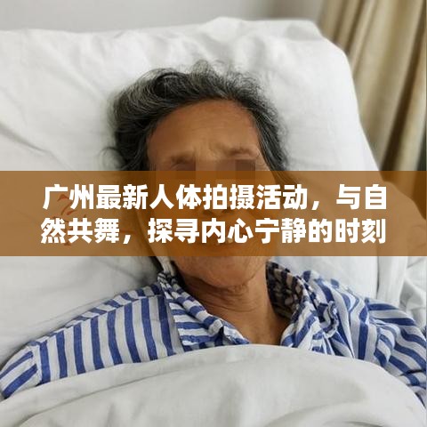 广州最新人体拍摄活动，与自然共舞，探寻内心宁静的时刻