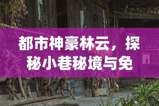 都市神豪林云，探秘小巷秘境与免费阅读之旅