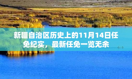 新疆自治区历史上的11月14日任免纪实，最新任免一览无余