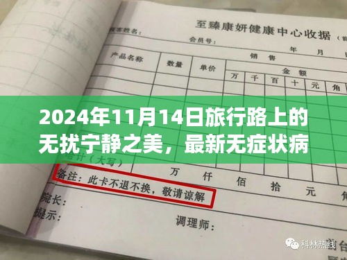 2024年11月14日旅行路上的无扰宁静之美，最新无症状病例报告