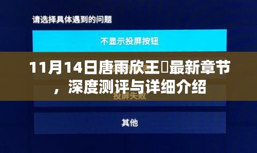 11月14日唐雨欣王玥最新章节，深度测评与详细介绍