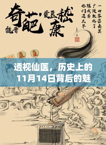 透视仙医，历史上的11月14日背后的魅力新作揭秘，免费阅读来袭！