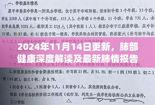 2024年11月14日更新，肺部健康深度解读及最新肺情报告