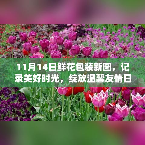 11月14日鲜花包装新图，记录美好时光，绽放温馨友情日